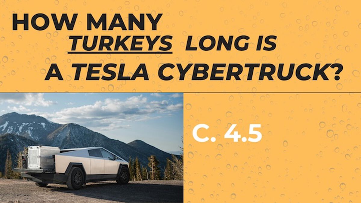 How Many Turkeys? image number null